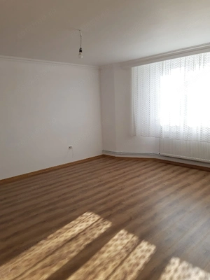 Casă de vânzare P+M, Ineu, județul Arad  - imagine 2