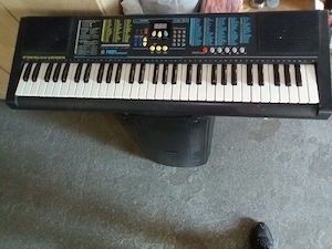 Vand orga Bontempi PM64