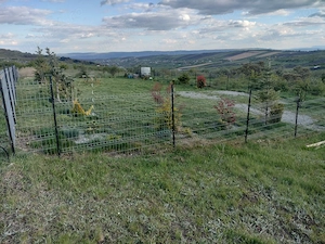 Vand grădina de relaxare, Cluj-Napoca, in capătul străzii Valea Fanatelor spre Pădureni  - imagine 7