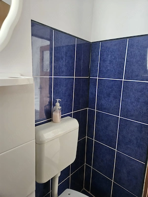 Vand garsoniera renovata etaj 2 din 4 zona Renk - imagine 5