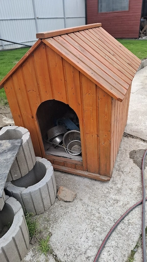 vand cușcă câine .