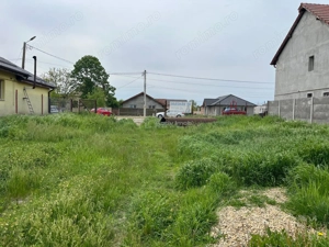 Remetea Mare, Teren Intravilan 1.500 Mp., - imagine 4