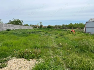 Remetea Mare, Teren Intravilan 1.500 Mp., - imagine 3