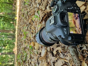 Canon 24-105L IS + Speedlite 430EX - imagine 4