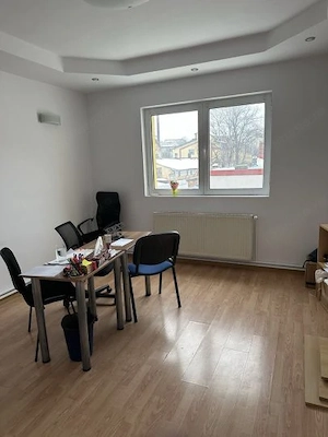Vila 8 camere zona Tineretului - imagine 4