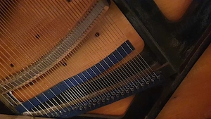 Pianina Schiedmayer & Soehne, Stuttgard - imagine 4
