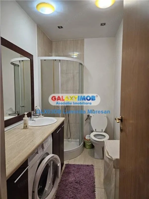 Vanzare casa P + M  5 camere Valea Voievozilor  Razvad - imagine 10