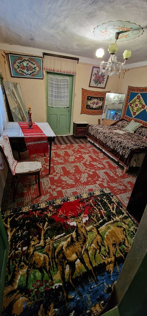 Casa batraneasca de vanzare cu teren intravilan - imagine 4