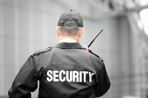 Angajare Agent securitate scoli si gradinite - imagine 2