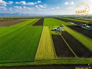 Liniste si aer curat in proximitatea Municipiului Sfantu Gheorghe - imagine 3