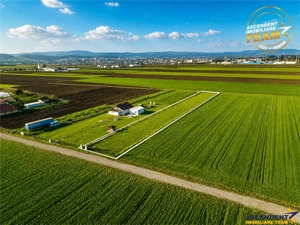Liniste si aer curat in proximitatea Municipiului Sfantu Gheorghe - imagine 5