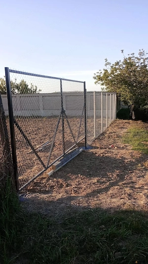 Teren de vânzare - Paleu, suprafață 2200 mp