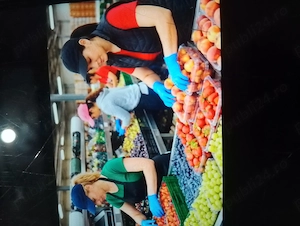 Angajam la sortat  fructe legume 
