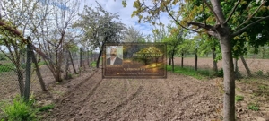 Casa Paunesti/Viisoara/Vrancea/Teren 969 mp - imagine 7