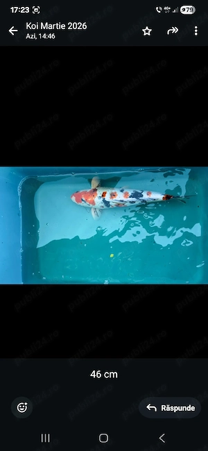 crapi koi maturi