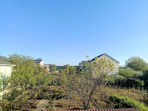 OTOPENI CENTRAL VILA GENEROASĂ -350m.p.& 1000m.p. teren -  ideala afaceri sau familie extinsa   - imagine 6