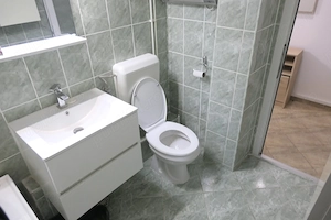 Apartament 1 cameră 45 mp - central - str Praporgescu - imagine 7