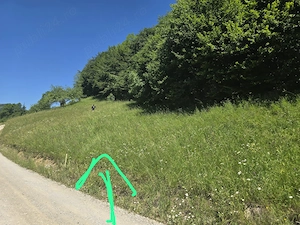 Teren Intravilan de Vânzare   928 mp | Valea Inzelului, Râmeț, Alba