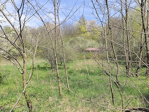 La 4 km de Campina ,in Banesti, teren superb pt casa de vacanta - imagine 3