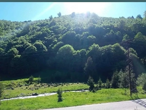 Teren PREMIUM 3000 mp Râușor   lângă pârtia de schi | Investiție turistică de topOportunitate rară d