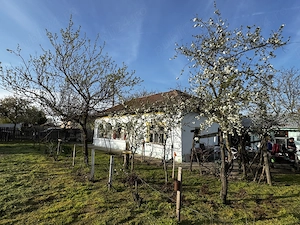 Proprietar , vând teren intravilan, 758 mp în satul Popești, jud. Călărași. - imagine 3