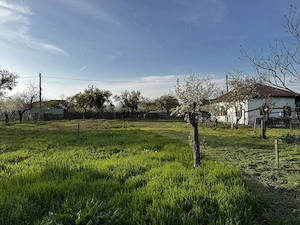 Proprietar , vând teren intravilan, 758 mp în satul Popești, jud. Călărași. - imagine 2