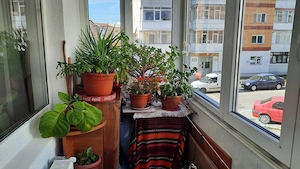 Apartament 3 camere, 2 balcoane decomandat, etajul 1 - imagine 10
