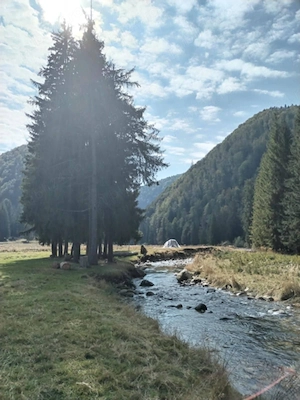 Teren Intravilan Corbii de Piatra+Bonus teren extravilan impadurit (aprox 1300 m2) la 200 m distanta - imagine 8