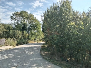 Teren Intravilan Corbii de Piatra+Bonus teren extravilan impadurit (aprox 1300 m2) la 200 m distanta - imagine 5