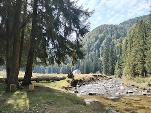 Teren Intravilan Corbii de Piatra+Bonus teren extravilan impadurit (aprox 1300 m2) la 200 m distanta - imagine 6