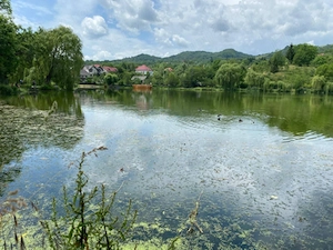Teren Intravilan Corbii de Piatra+Bonus teren extravilan impadurit (aprox 1300 m2) la 200 m distanta - imagine 9