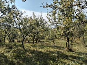 Teren Intravilan Corbii de Piatra