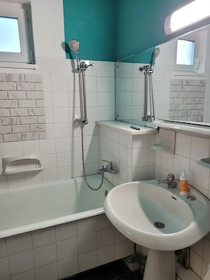 Proprietar închiriez apartament în zona Stadion Dan Paltinişan - imagine 8