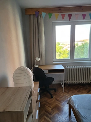 Proprietar închiriez apartament în zona Stadion Dan Paltinişan - imagine 9