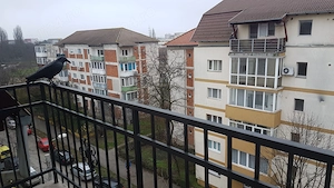 Proprietar inchiriez apatament 3 camere la 5 minute pe jos de Iulius Mall,  - imagine 3