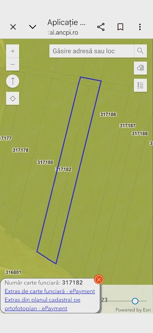 Vand teren agricol in Pecica( Turnu) 3,9 ha(fara contract cu arendas)