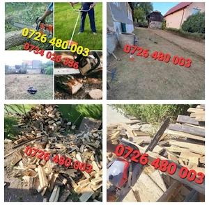 Taiem pomi copaci defrișări tai iarba Bălări cu motocoasa