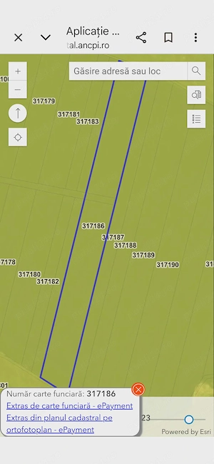 Vand teren agricol in Pecica( Turnu) 3,9 ha(fara contract cu arendas) - imagine 2