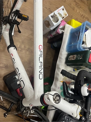 Bicicleta 