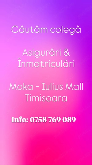 Asigurări & Înmatriculari Moka