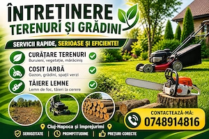 Ai terenul plin de iarbă? 