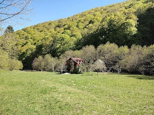Casa de vacanta zona extravilan Gura Râului, Coada Lacului,Cibinul Mic - imagine 3