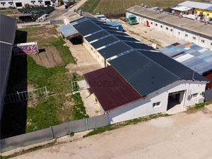 Hala Industriala Renovata + 1500 MP Teren Halchiu