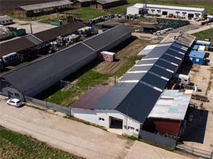 Hala Industriala Renovata + 1500 MP Teren Halchiu - imagine 3