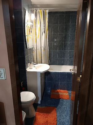 Închiriez apartament cu 2 camere bulevardul Dacia - imagine 9