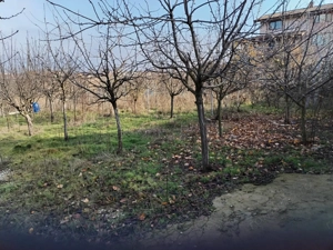 Teren intravilan 345 mp Vidra, deschidere 12 m, ideal pentru - imagine 5