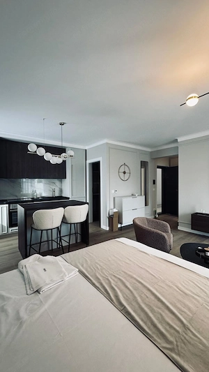 AV685 Apartament 1 camera, tip Studio, de vanzare, zona LIPOVEI, LUX - imagine 3