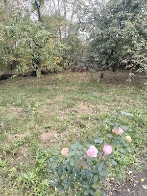 Casa din caramida si teren 2500MP in Movilita Ialomita stradal DN2 - imagine 5