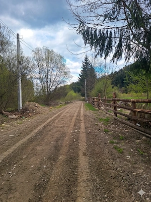  Oportunitate Unică de Investiție   Domeniu de 2,1 Ha în Bucovina (Suceava)  - imagine 2
