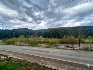  Oportunitate Unică de Investiție   Domeniu de 2,1 Ha în Bucovina (Suceava)  - imagine 3
